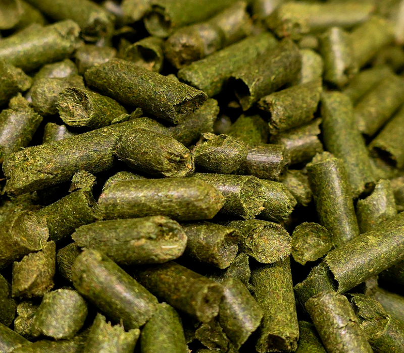 Alfalfa Pelletizada Pellets de Alfalfa Alta Calidad Indio Lakota